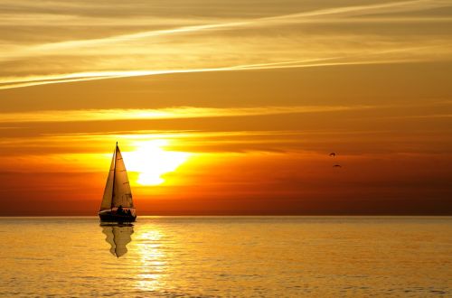 Commodore`s 203 - Gone Sailing 203